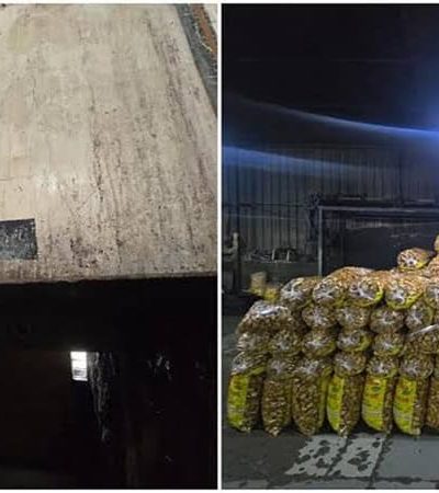 नाशिक आणि मालेगावात एफडीएची कारवाई