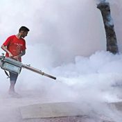 पावसाळ्यात पुण्यात डेंग्यूच्या रुग्णांमध्ये वाढ