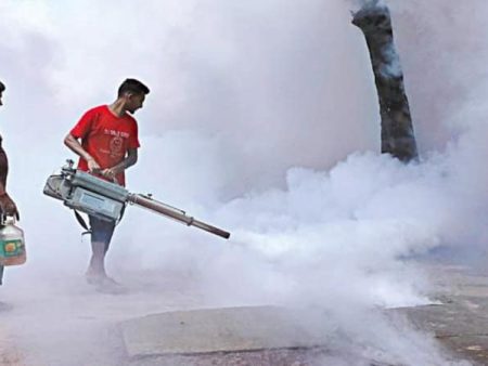 पावसाळ्यात पुण्यात डेंग्यूच्या रुग्णांमध्ये वाढ
