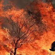युरोपातील तीन देशांमध्ये भीषण वणवे