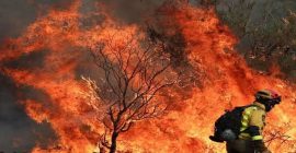 युरोपातील तीन देशांमध्ये भीषण वणवे
