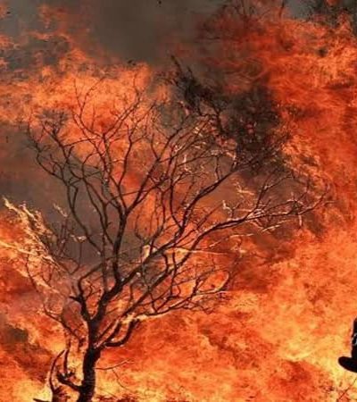 युरोपातील तीन देशांमध्ये भीषण वणवे