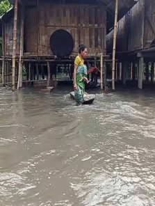 आसाममध्ये महापूराचा हाहाकार