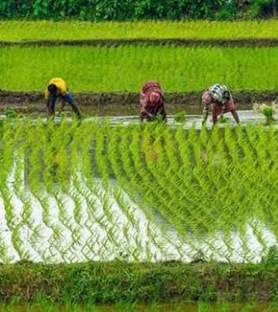कृषी विकासासाठी केंद्र सरकारकडून आर्थिक मदत