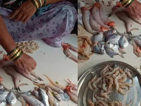 उरण बाजारात शेततळ्यातील माशांच्या मागणीत वाढ