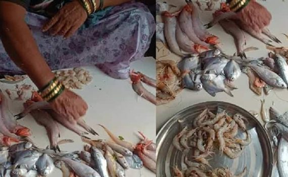 उरण बाजारात शेततळ्यातील माशांच्या मागणीत वाढ