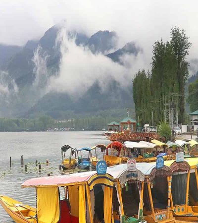 काश्मिरमध्ये पर्यटकांच्या संख्येत घट