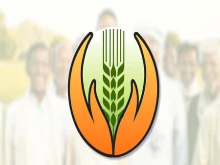 फळपीक विमा नोंदणीला उदंड प्रतिसाद