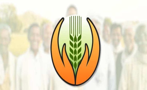 फळपीक विमा नोंदणीला उदंड प्रतिसाद