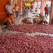 आवक ठप्प झाल्याने कांदा महागला