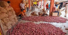 आवक ठप्प झाल्याने कांदा महागला
