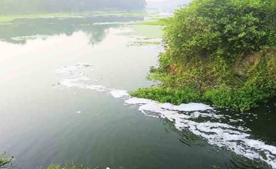उल्हास नदीतील माशांच्या पोटात मायक्रोप्लॅस्टिक
