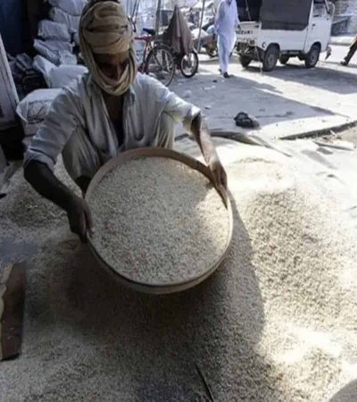 बासमती तांदळाला व्यापार प्रमाणपत्र नाकारले