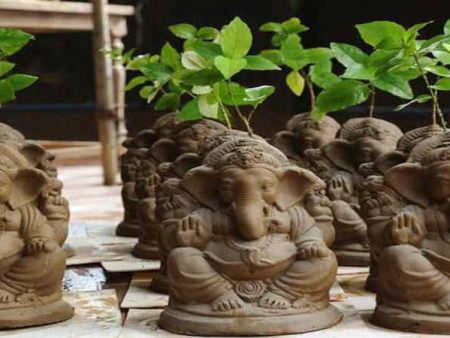 पर्यावरणपूरक गणेशोत्सवासाठी जनजागृती मोहीम
