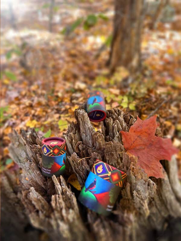 Cumaru hape fall season