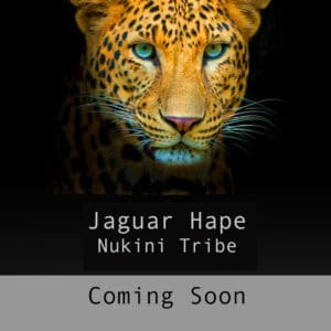 Shaman Hape Tribe - Mint Hape