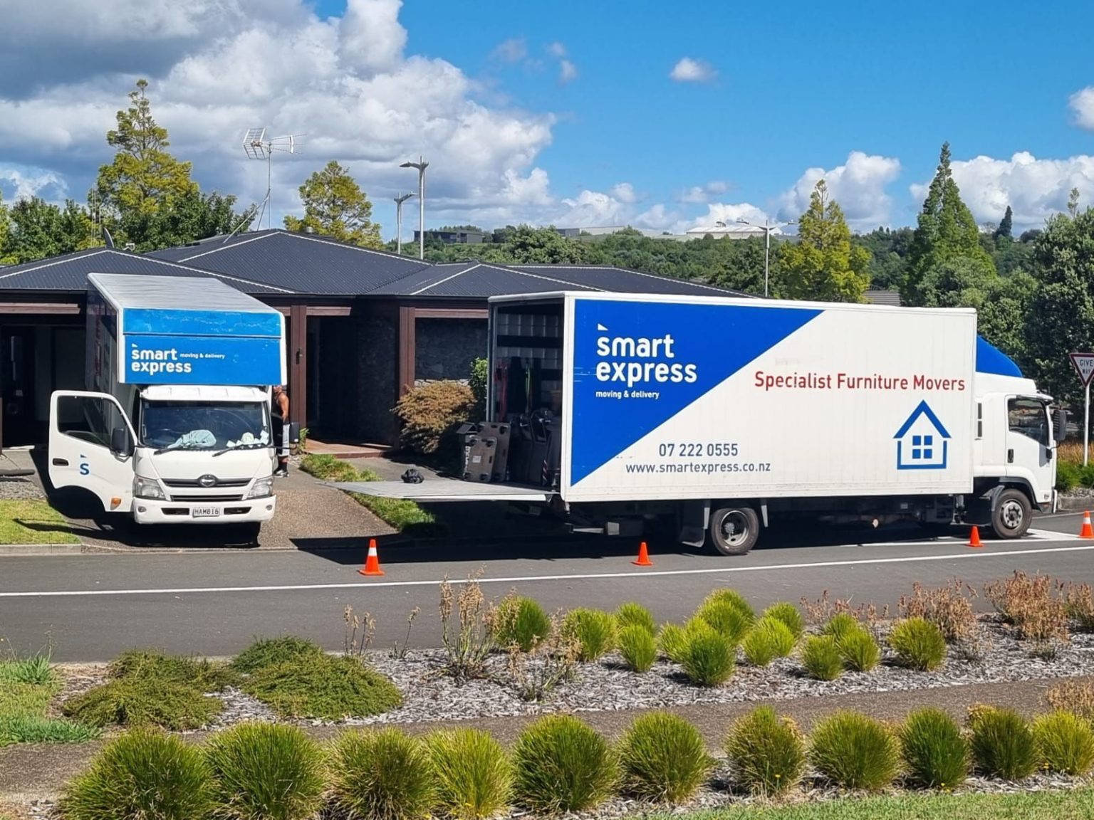 tauranga mover