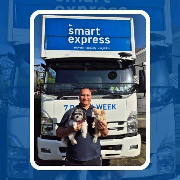 pet moving tips