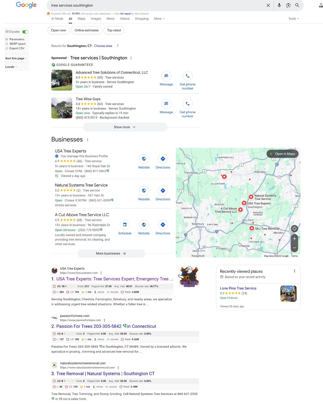 Top-ranked local search results shown for a Southington-based tree service. Proof of how strong SEO can deliver similar visibility for Berlin CT businesses.