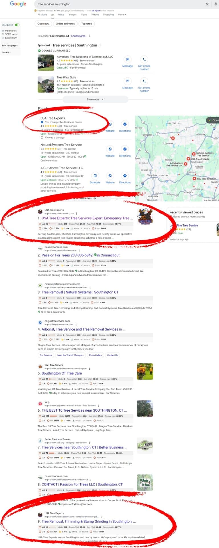 Google search results for 'tree services Southington' showing a local business ranking in both the Google Map Pack and organic search results, with USA Tree Experts highlighted in top positions.