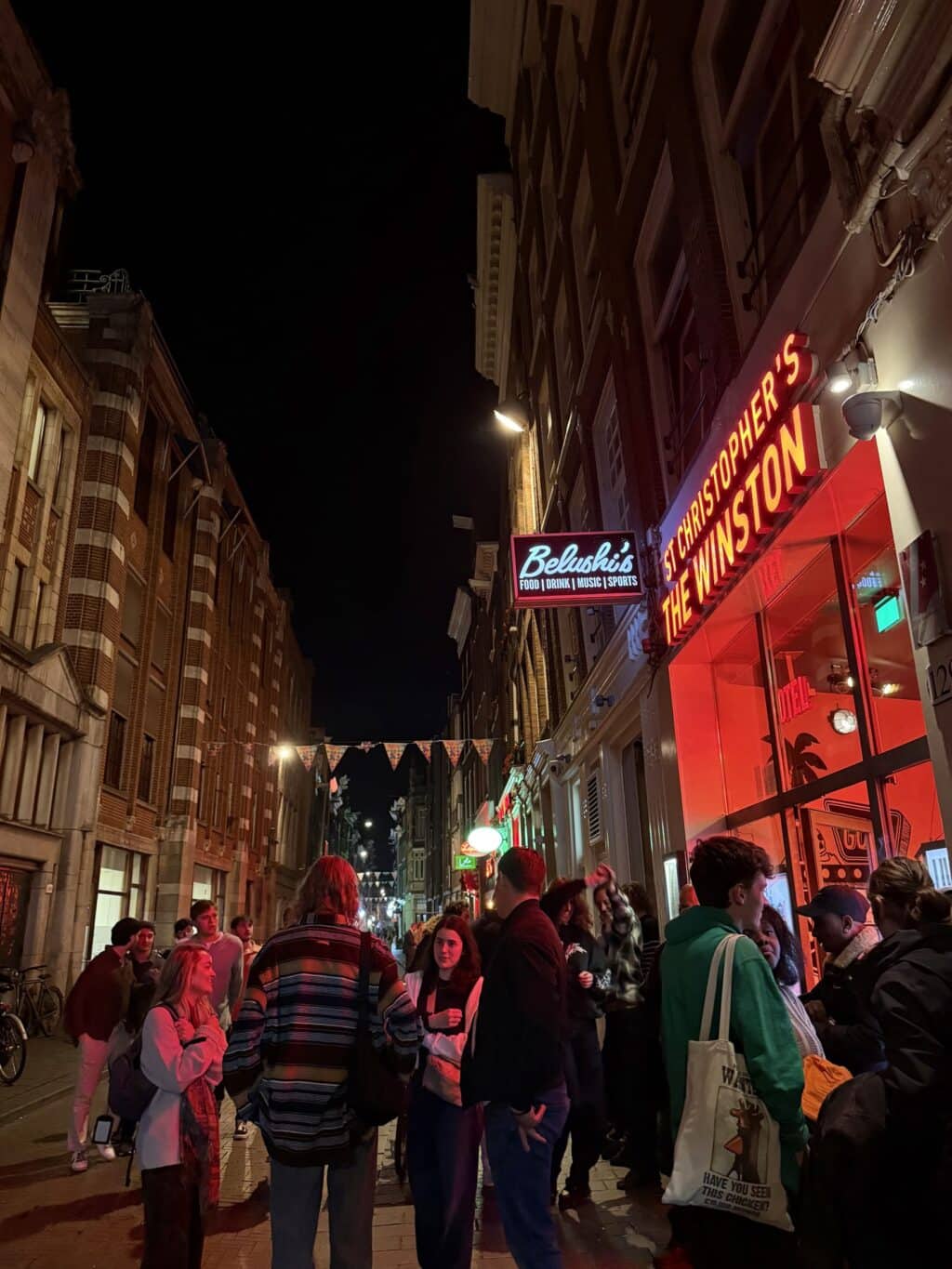 Night scene at Downtown Hostel with Flying Pig neon sign and lively crowd in city street.