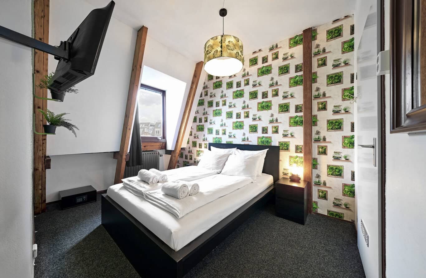 Comfortable hostel room with green wall decor and modern furnishings at Flying Pig Downtown.