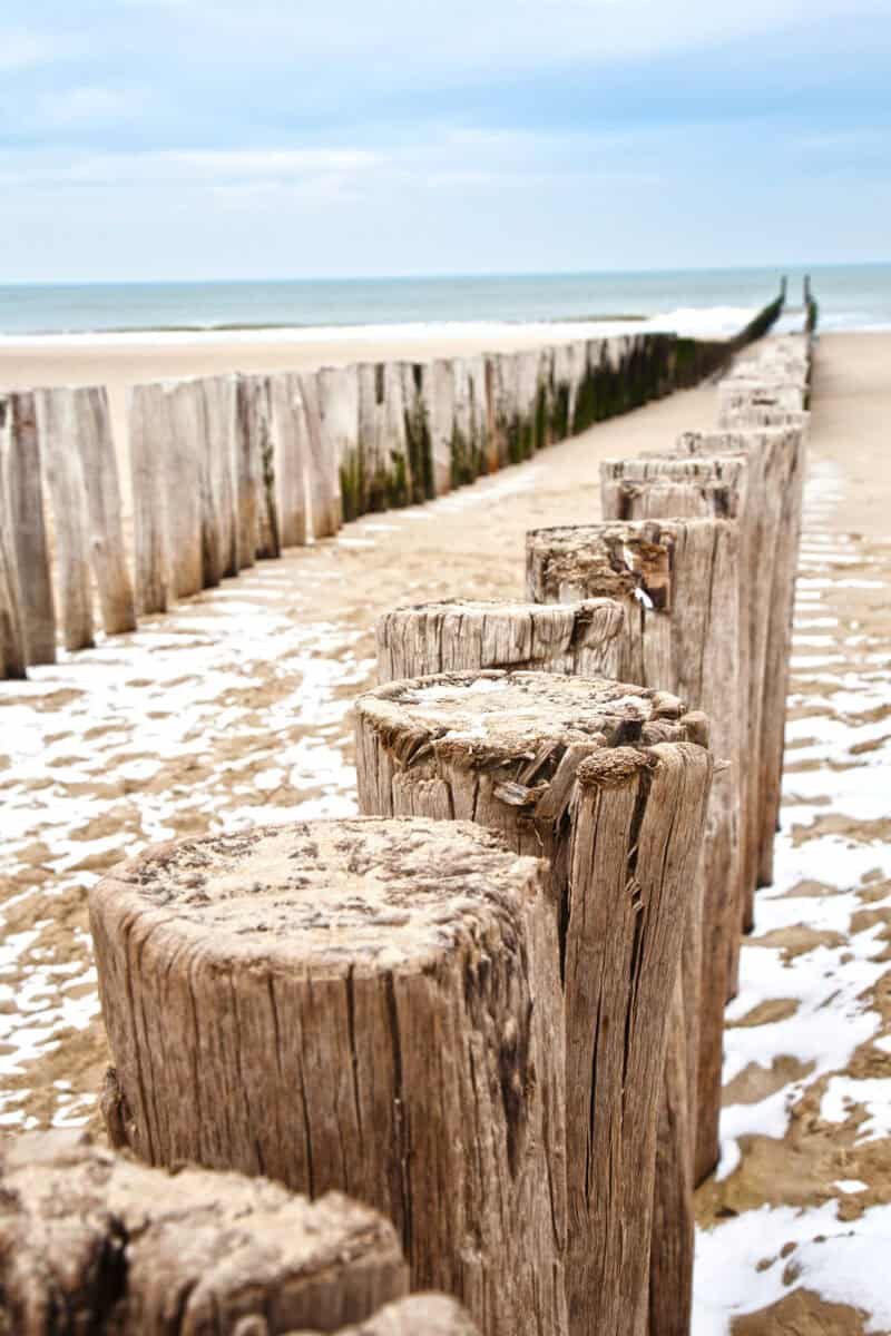 Beach view near The Flying Pig Downtown hostel in The Hague with wooden breakwater.