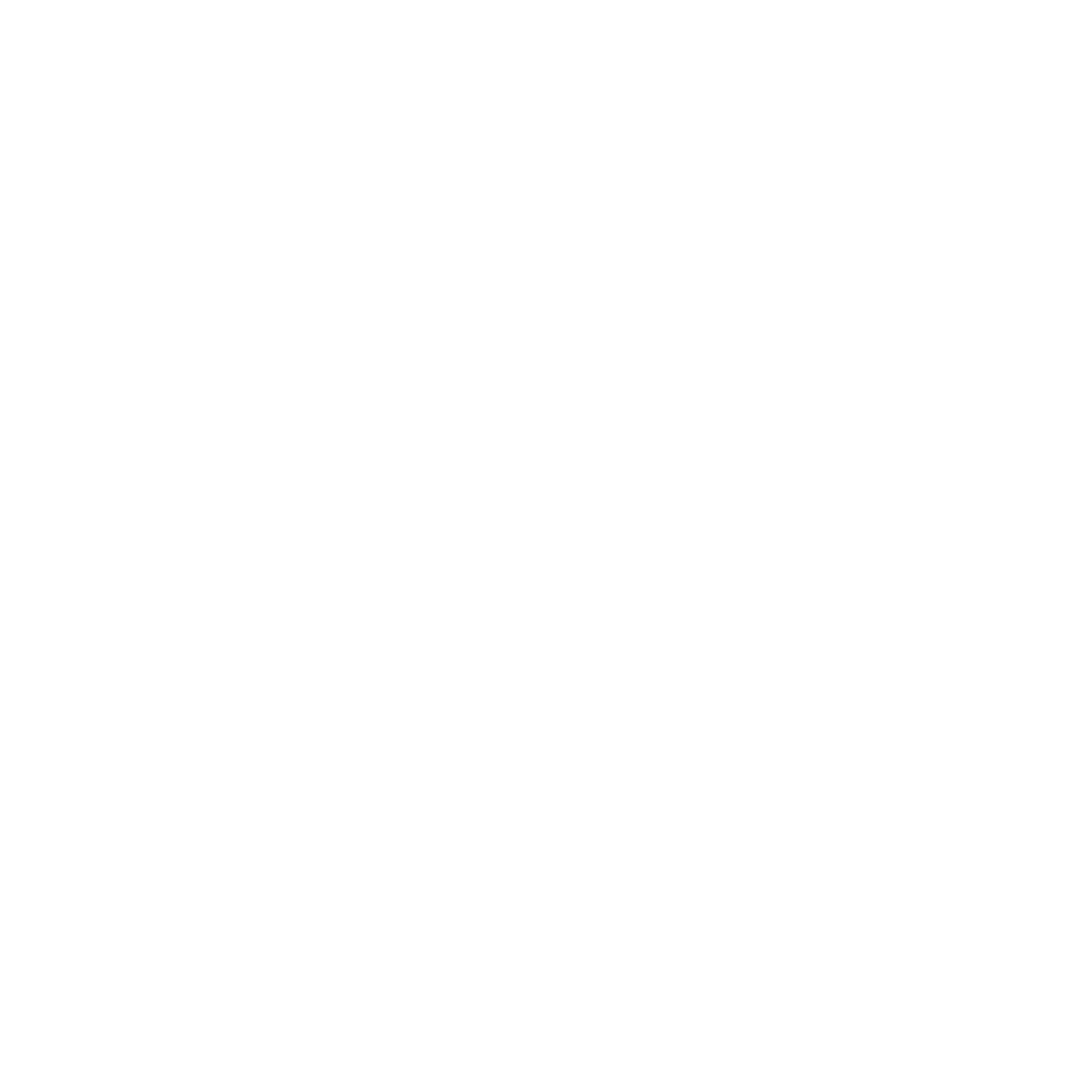 Logo of St Christopher's with wings and geometric design, representing the organisation.