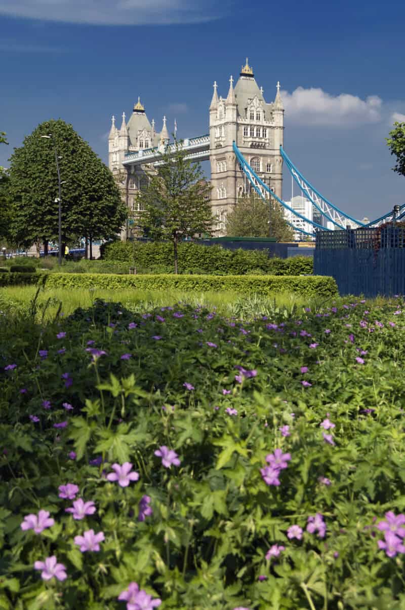 St Christopher's Inn London Bridge - The Inn view of Tower Bridge and surrounding greenery.