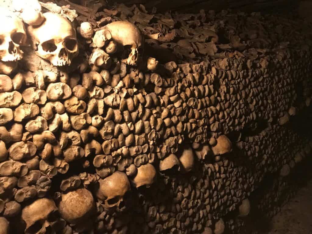 Skull wall at Berlin catacombs with human skulls and bones, eerie and historic site.