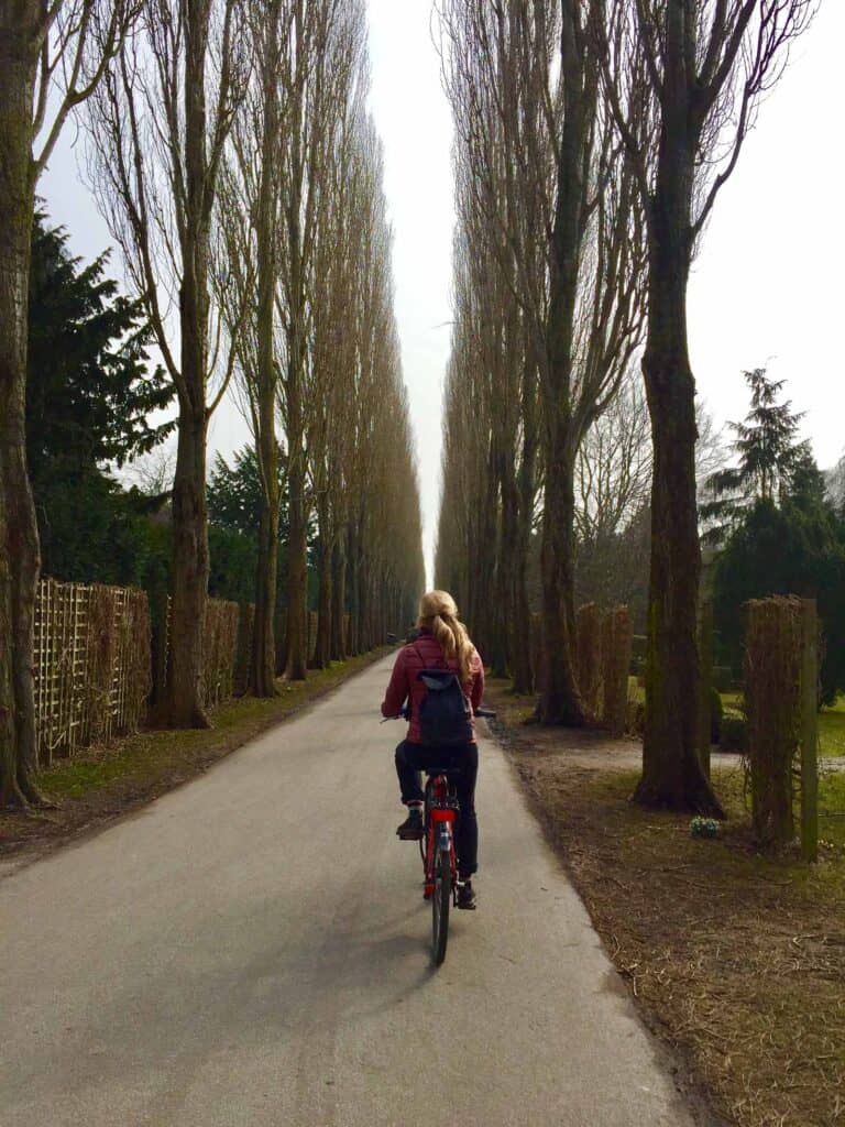 Woman cycling along a tree-lined path in Berlin's Mitte district, peaceful outdoor scene.