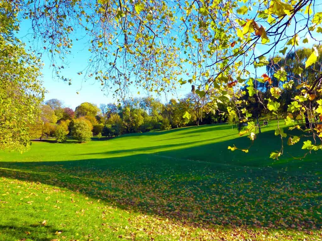 View of a lush green park near St Christopher’s Mitte Hostel, Berlin.