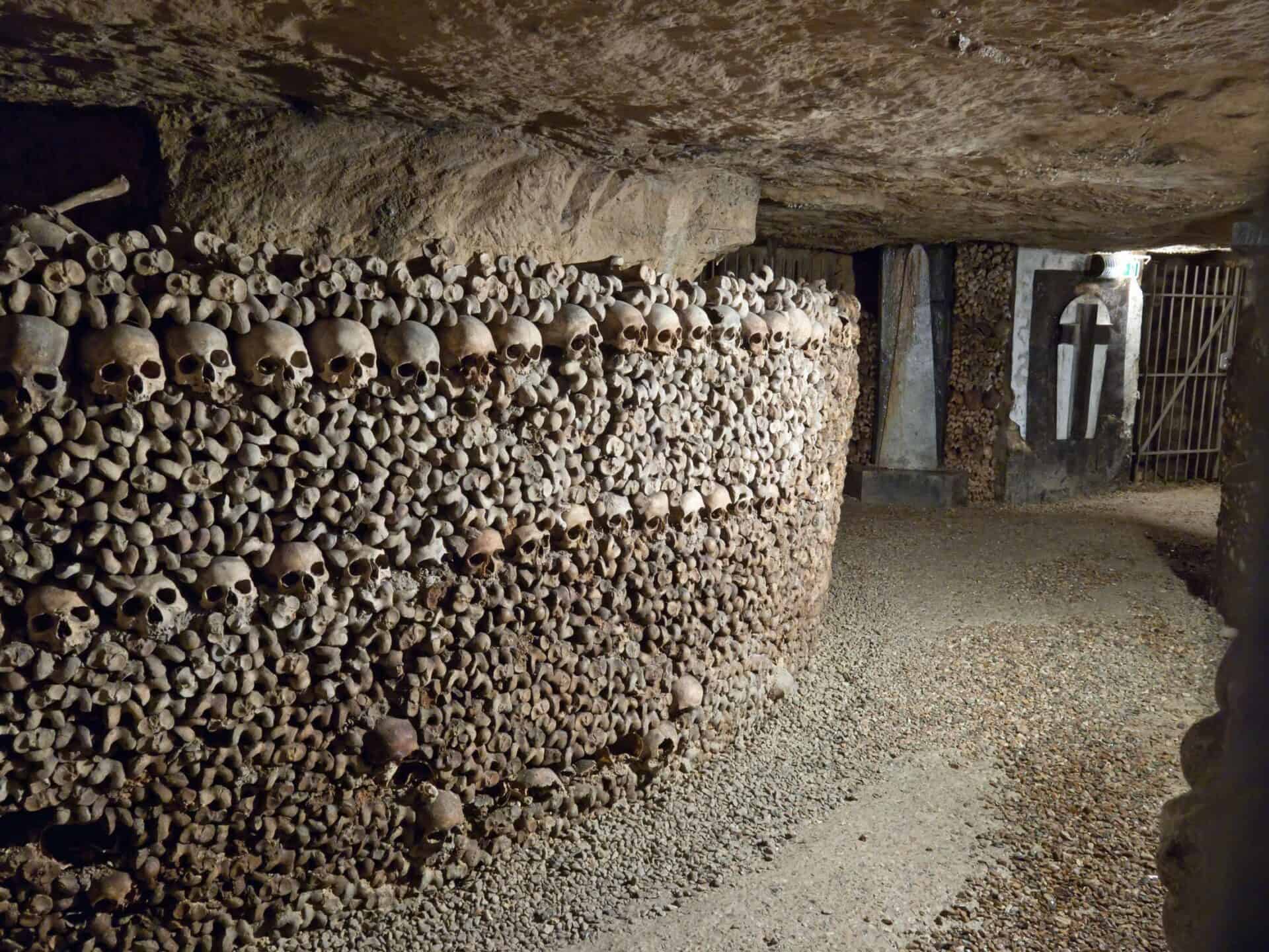Skull wall at Mitte Hostel in Berlin, part of an underground historical site tour.