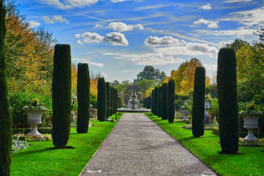 Beautiful garden pathway at St Christopher’s Berlin hostel in Mitte, featuring tall cypress trees an.