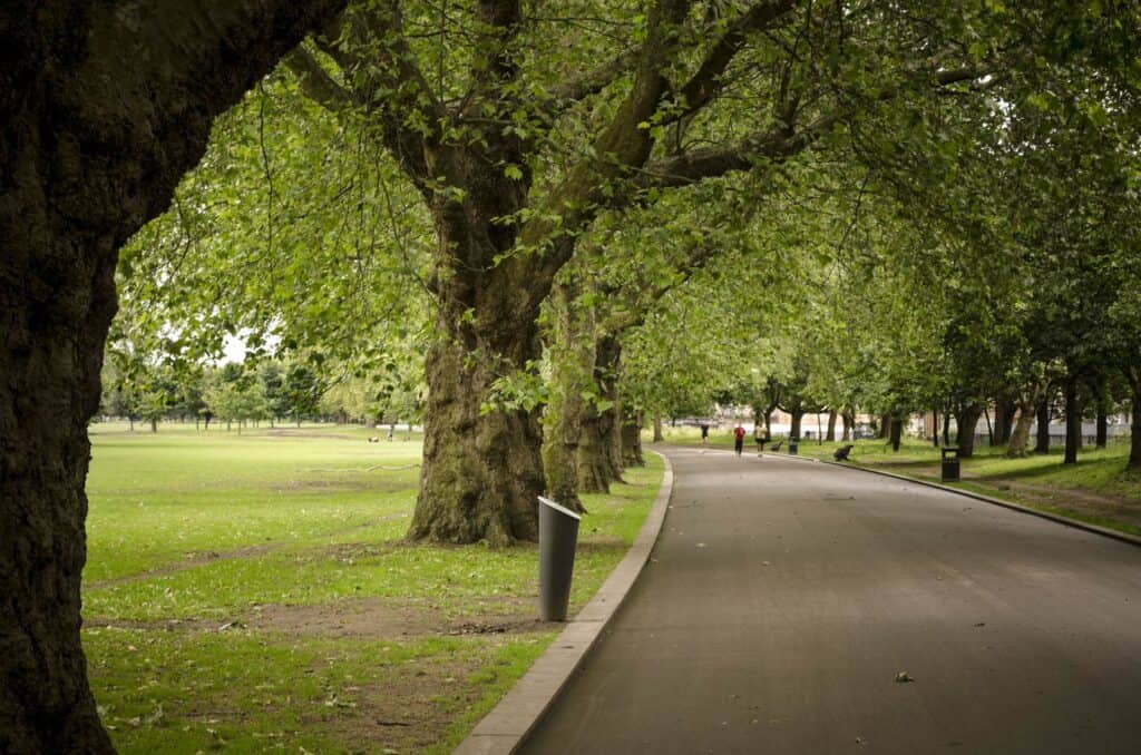 Peaceful park pathway near St Christopher’s Mitte Hostel in Berlin, surrounded by lush trees.