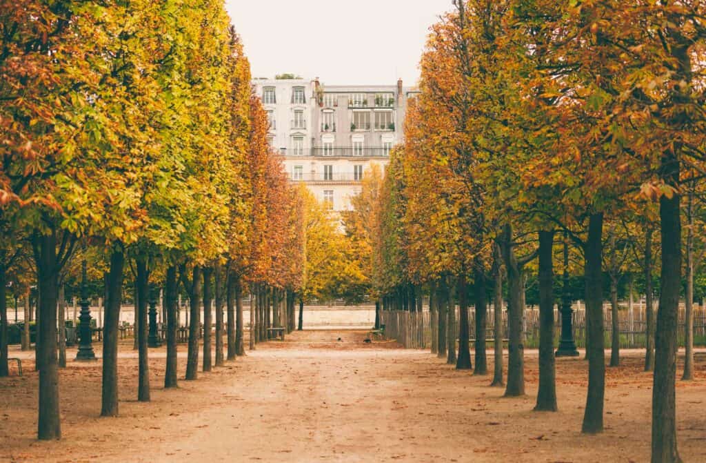 Autumn trees lining a pathway in Mitte, Berlin, near St Christopher’s Hostel.