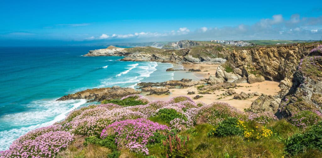 Scenic coastal cliffs and beach with colourful flowers and ocean view.
