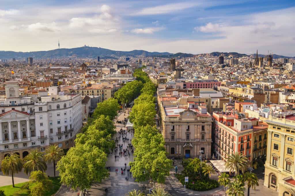 A panoramic city view from a high-rise building showing a wide street lined with trees and historic.