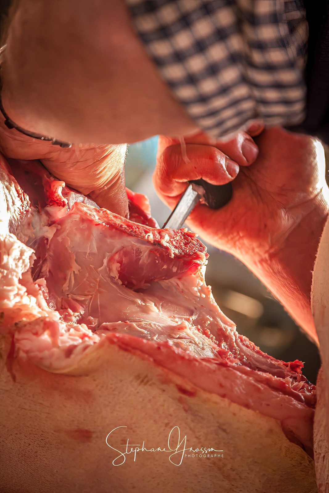 ©-Stephane-grossin-2023-photographe-Artisanat-19 photo reportage portrait entreprise