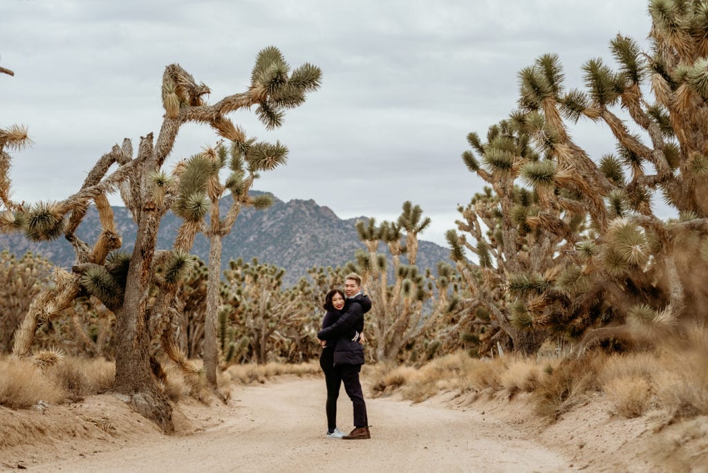 Hidden Joshua Tree engagement photos