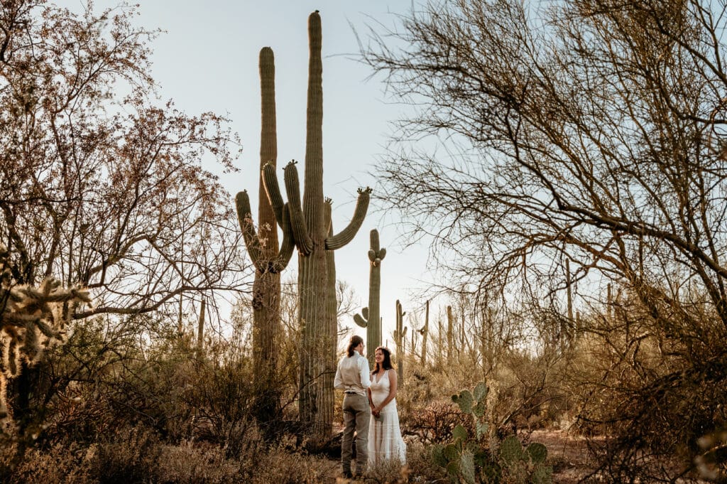 Couple saying their vows under towering saguaros during their Arizona elopement