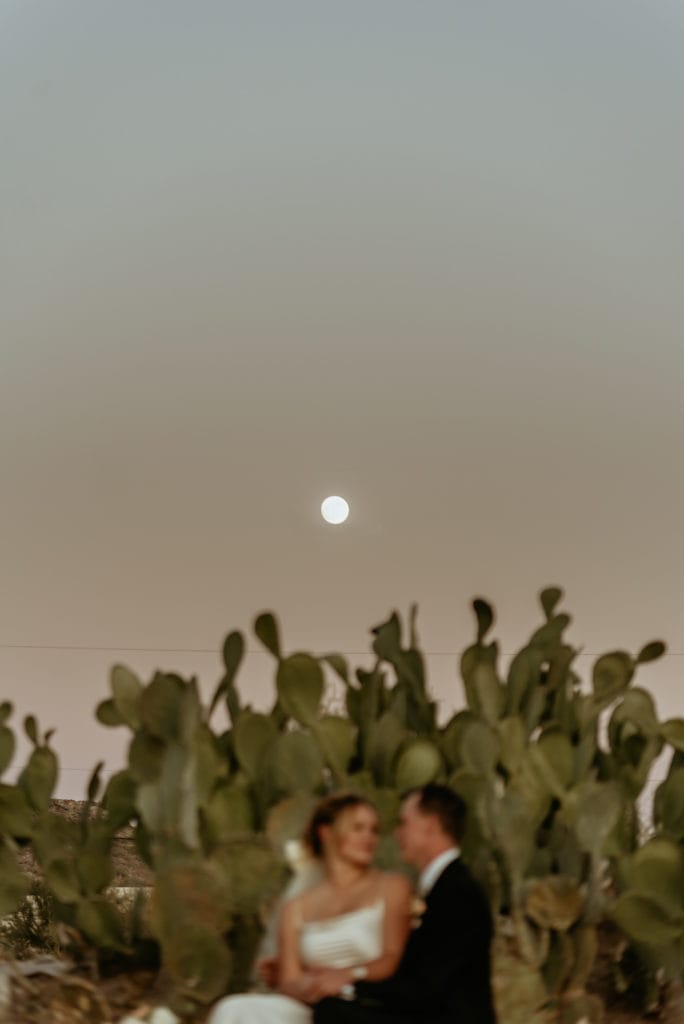 Moon rising over garden of prickly pear cacti during this desert elopement outside Phoenix, AZ