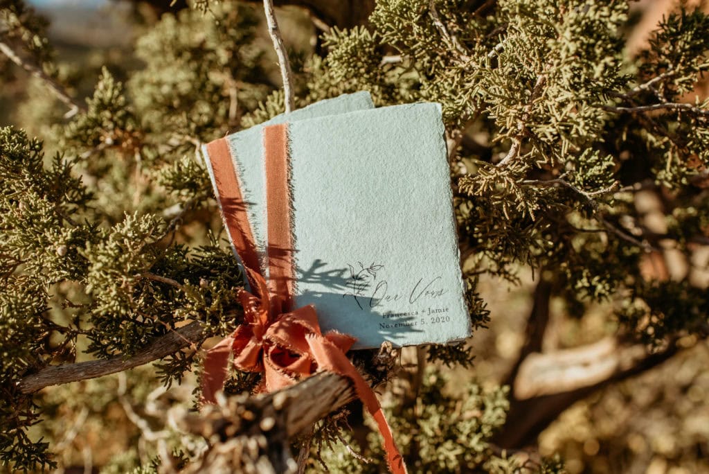 Baby blue vow books