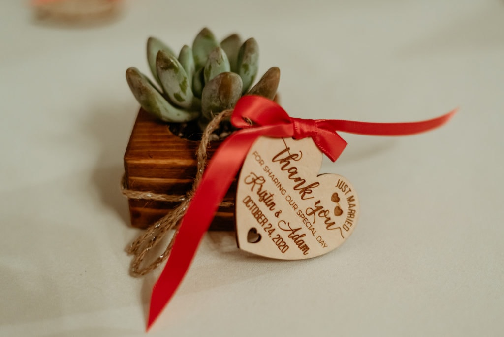 succulent wedding favors
