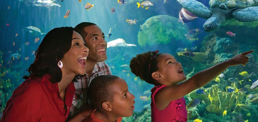 Free Sea World Admission for Teachers