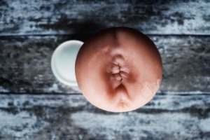 Fleshlight girls stoya destroya