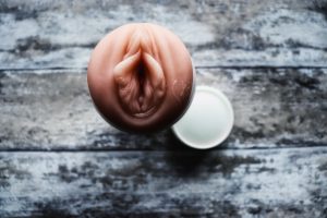 Fleshlight girls stoya destroya