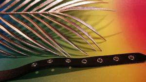 Bdsm toy review by tess: rimba mouthgag with o-ring