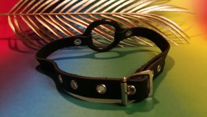 Bdsm toy review by tess: rimba mouthgag with o-ring