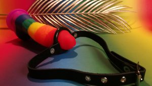 Bdsm toy review by tess: rimba mouthgag with o-ring
